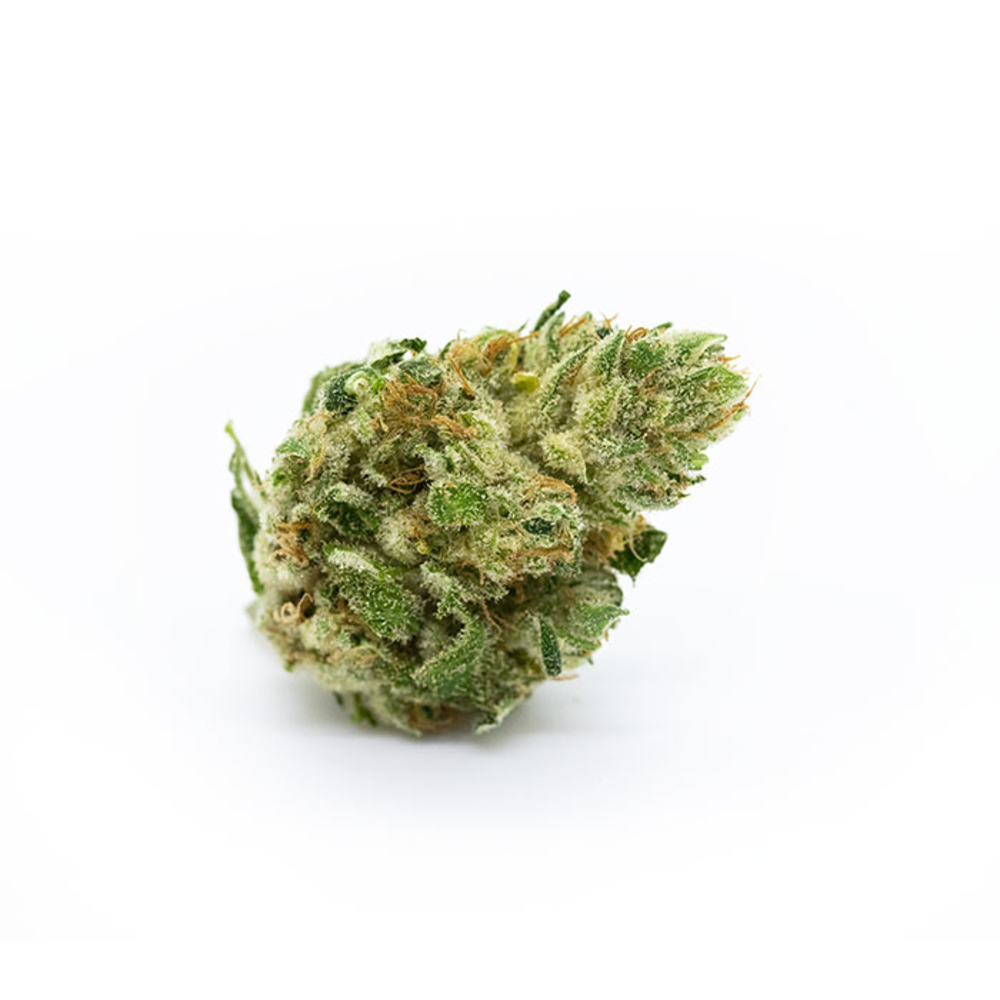 Space Cream | Terrapin